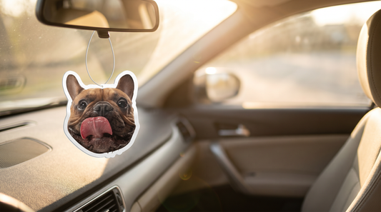 Intérieur de voiture propre avec un sent-bon Choupoubox suspendu au rétroviseur