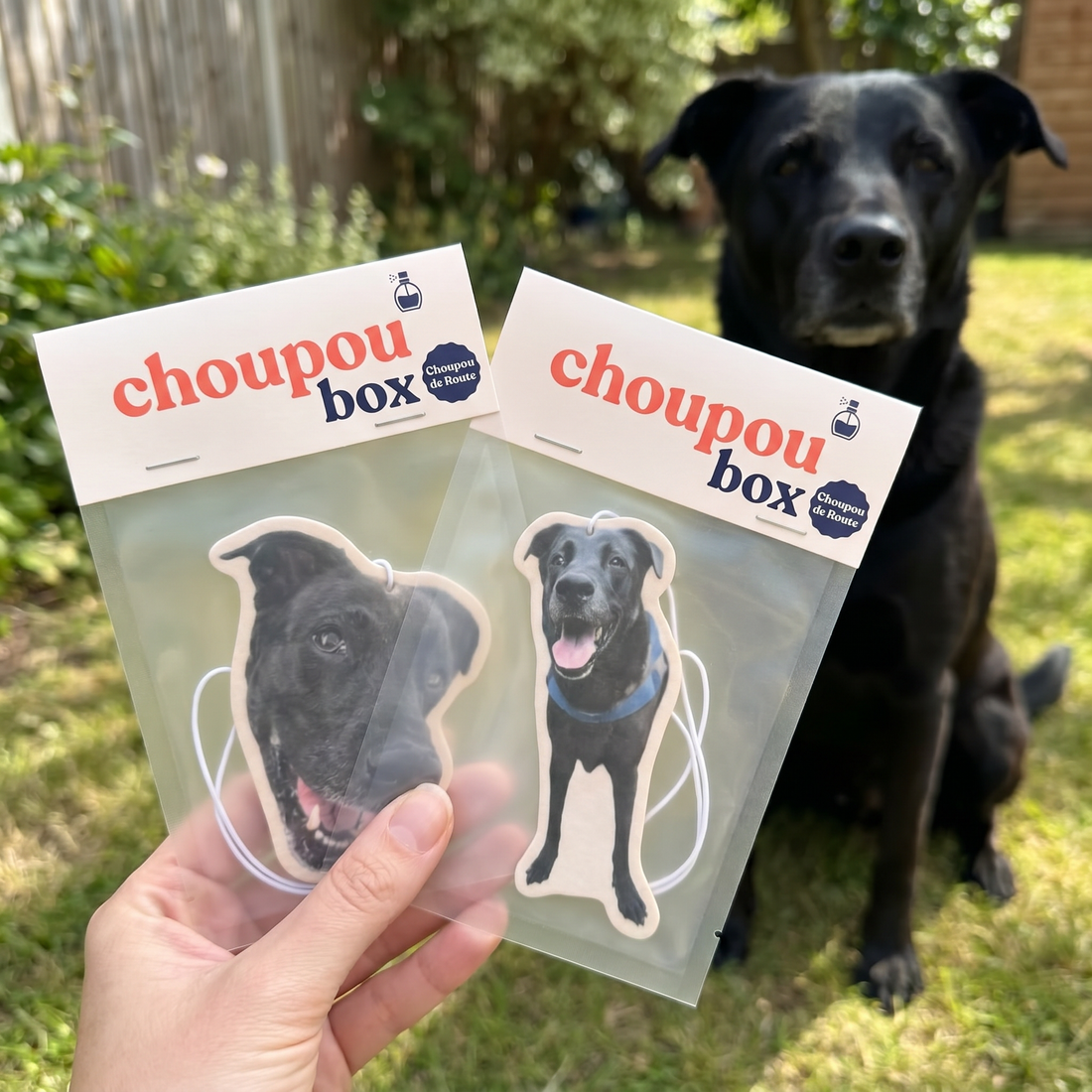 Lot de deux sent-bons Choupoubox personnalisés tenus en main, chien labrador