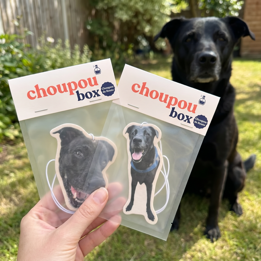 Lot de deux sent-bons Choupoubox personnalisés tenus en main, chien labrador