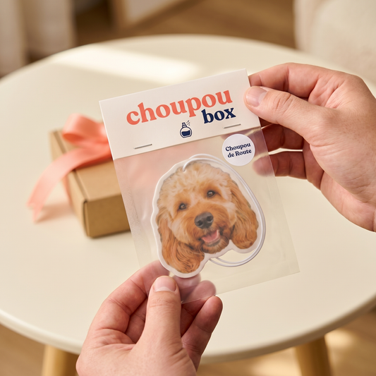 Cadeau de réconfort pour une personne qui a perdu son animal