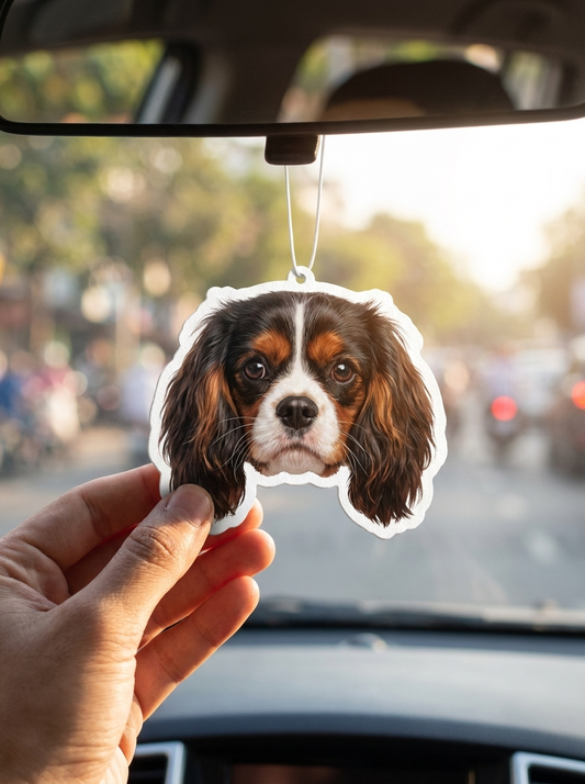 Chien cavalier installé en voiture avec son sent-bon Choupoubox au rétroviseur