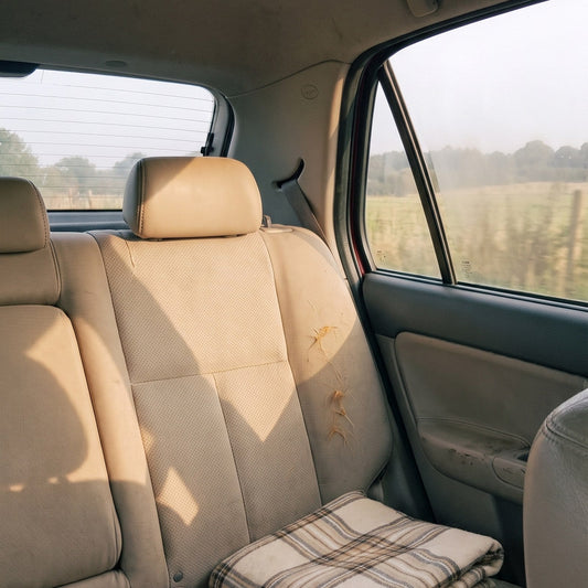 Banquette arrière vide d'une voiture avec un plaid, lumière douce : le souvenir d'un compagnon disparu