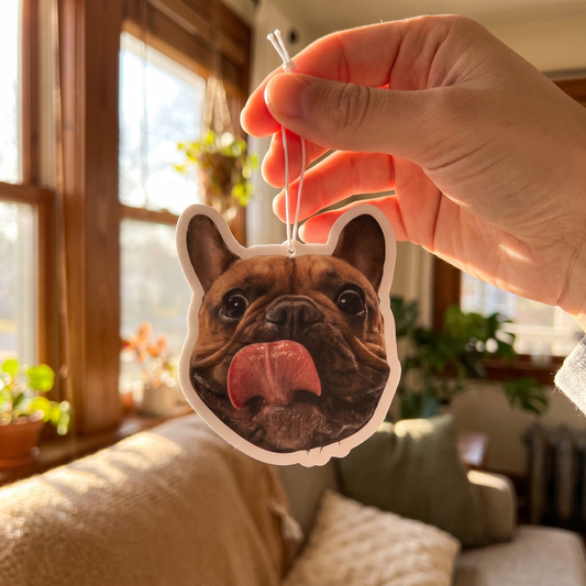 Sent-bon souvenir avec la photo d'un animal, tenu dans la lumière
