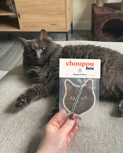 Thomas D., Bordeaux