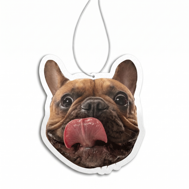 Ton animal