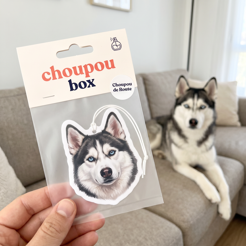 Ton Choupou, c'est ta photo à toi